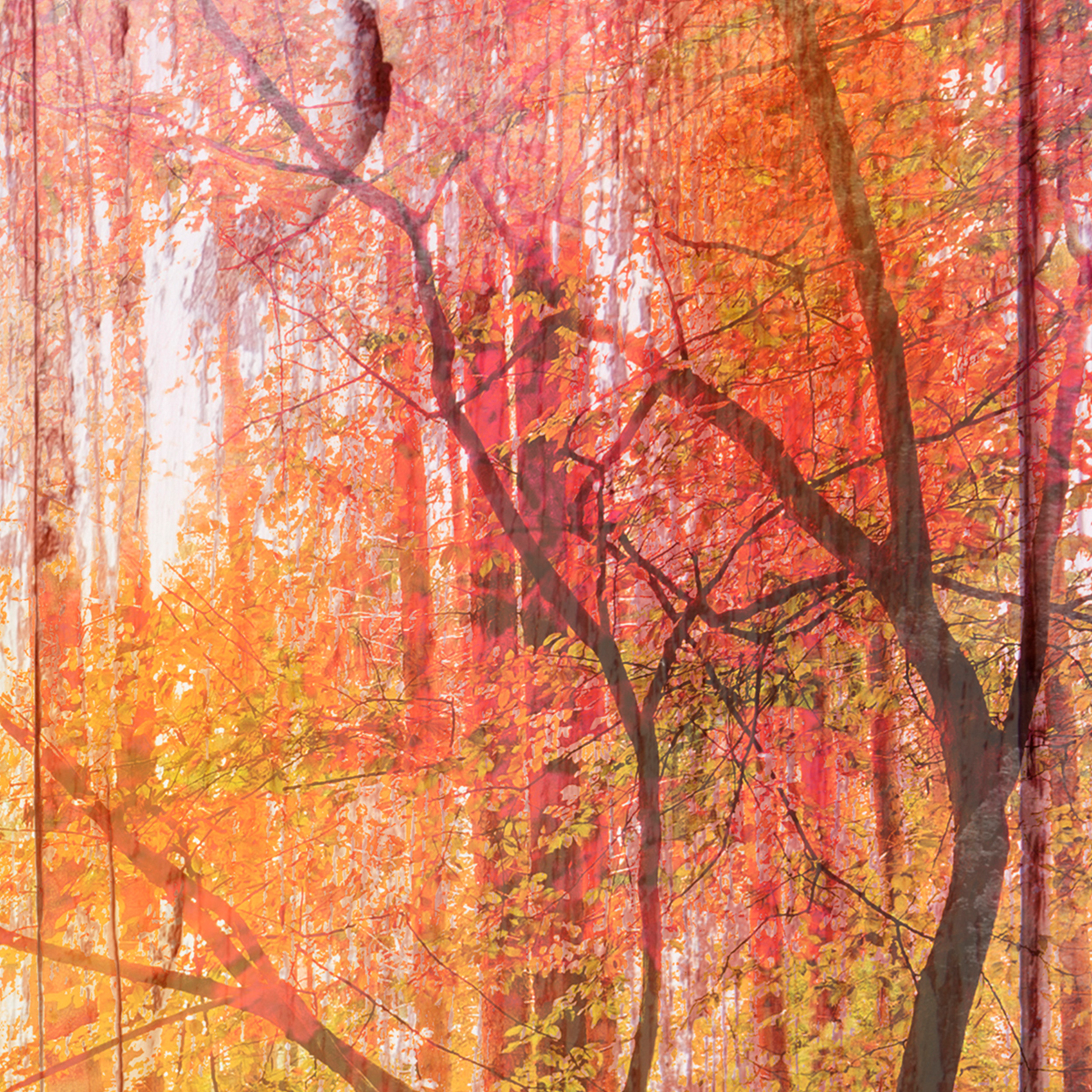 Landschaften Holz PARAVENT RAUMTEILER Spanische Wand TRENNWAND Herbst Baum Brett
