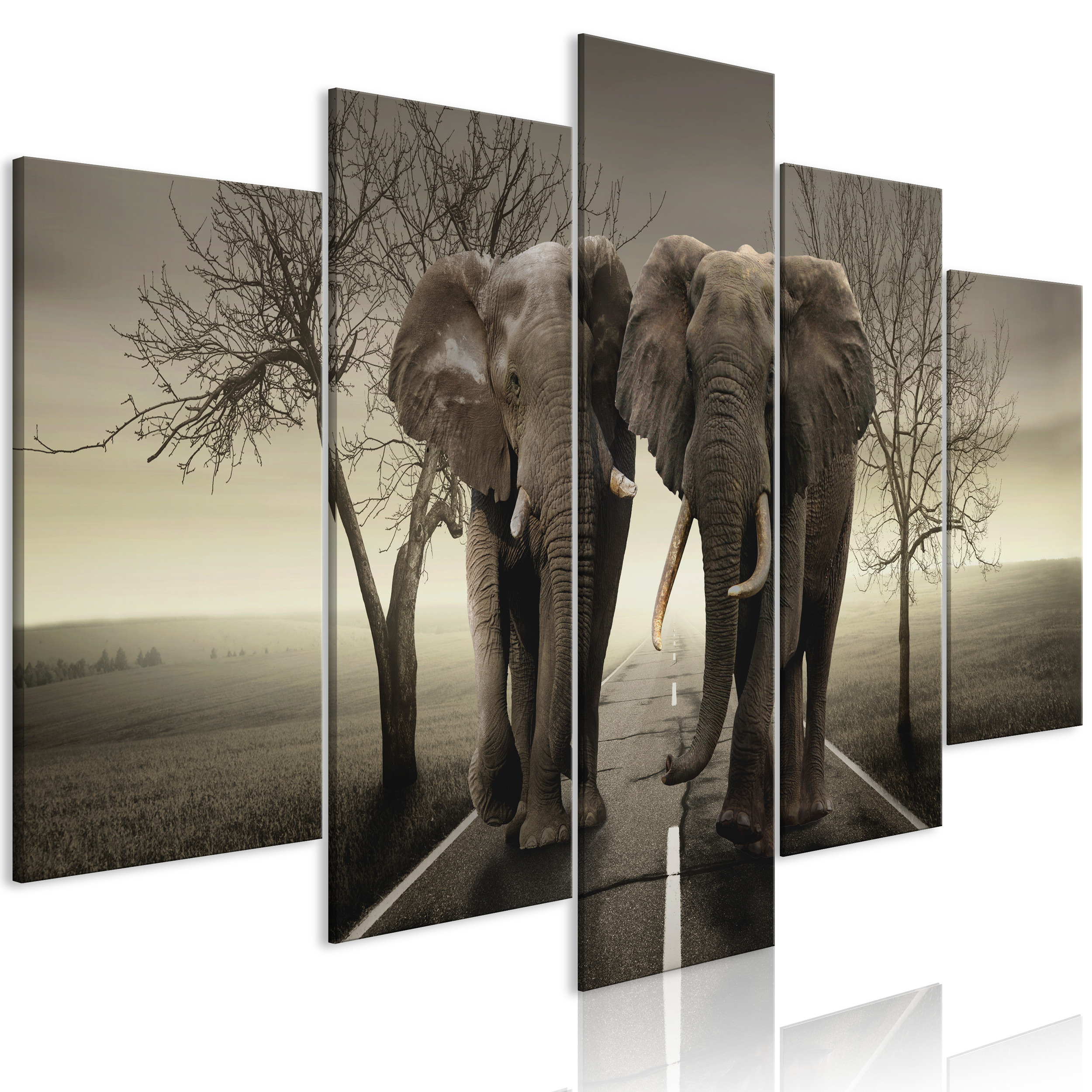 LEINWAND BILDER Afrika Elefant Natur Sonenuntergang 225x112 WANDBILDER XXL 
