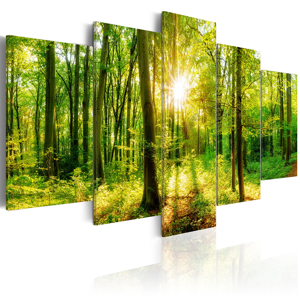 Leinwandbild Kunst-Druck 100x50 Bilder Landschaften Fluss im Wald 