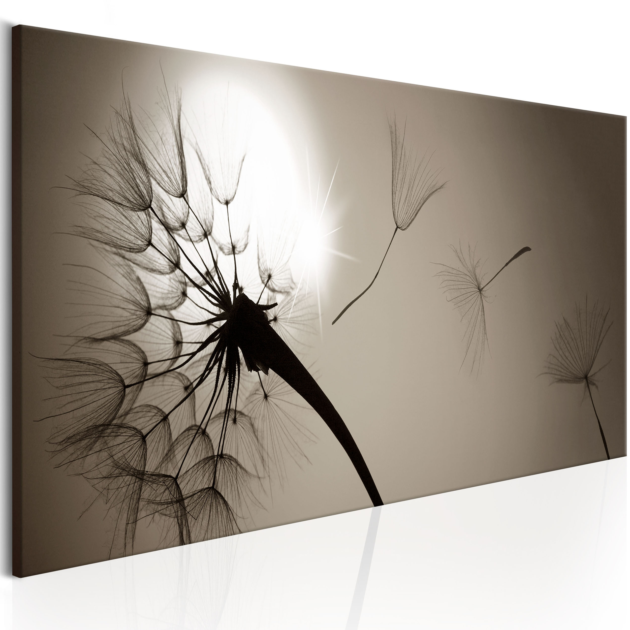Leinwandbild Kunst-Druck 100x50 Bilder Blumen & Pflanzen Pusteblume 