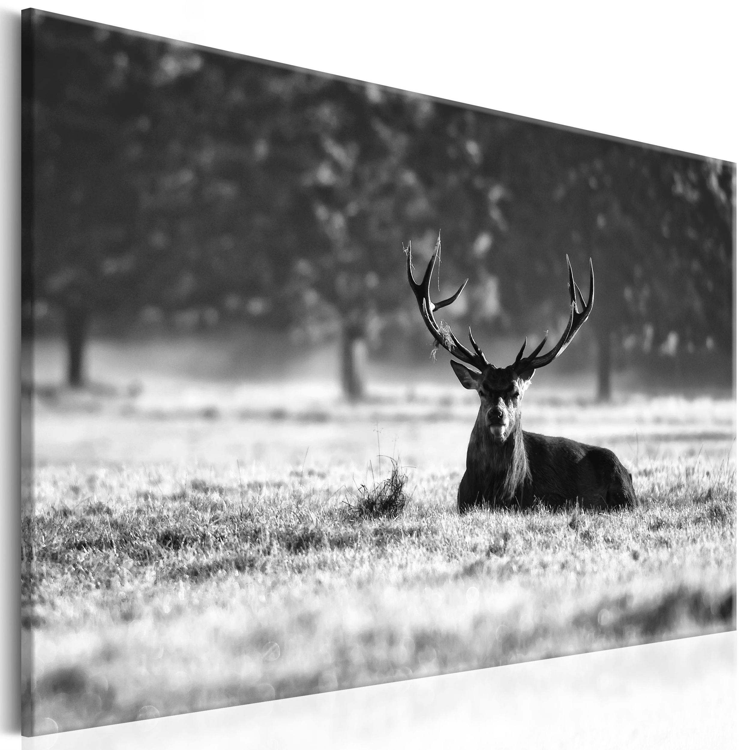 Leinwandbild Kunst-Druck 125x50 Bilder Tiere Hirsch 