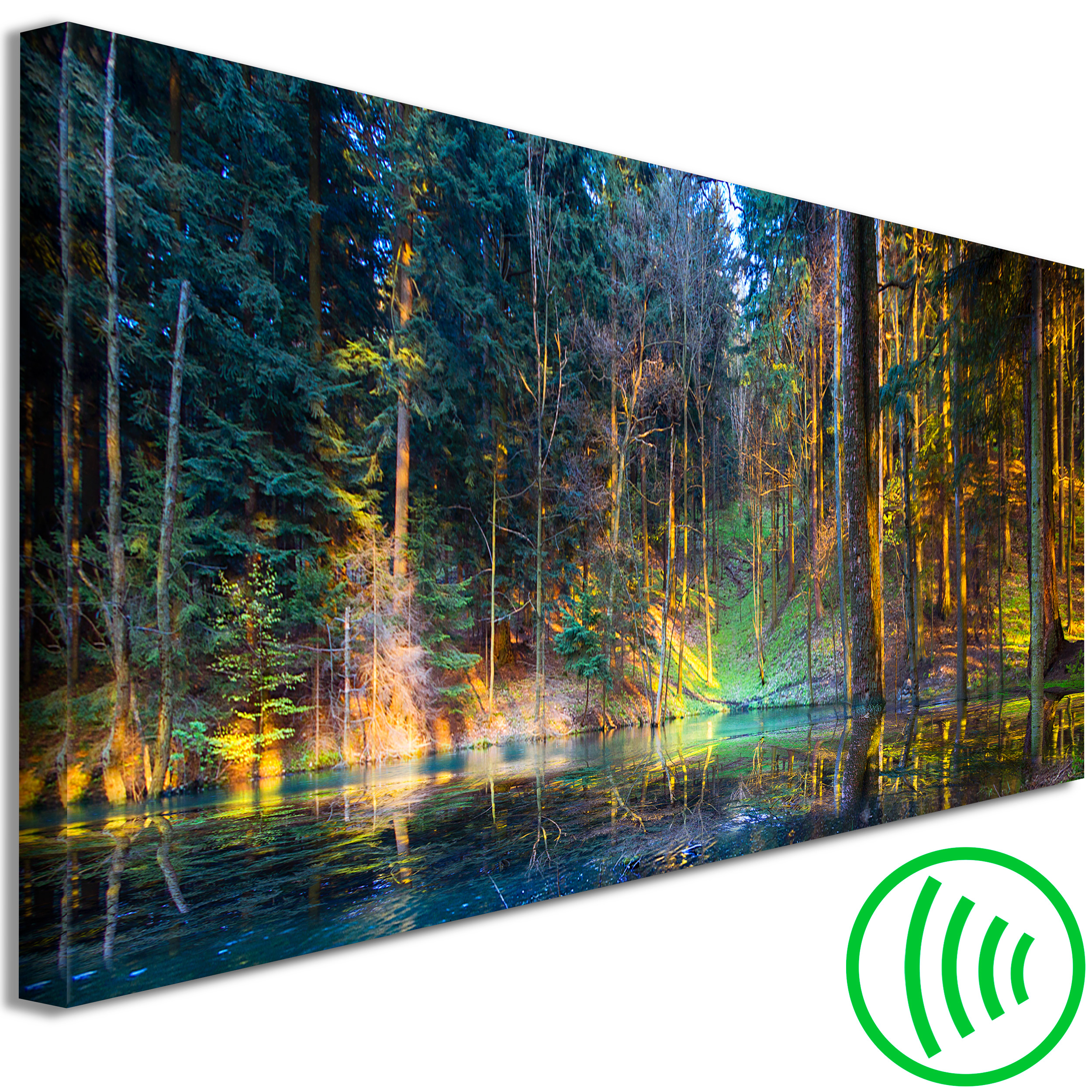 Wandbilder XXL Groß Bilder Wald Kunstdruck Bild Leinwand Selbstmontage 160x80 