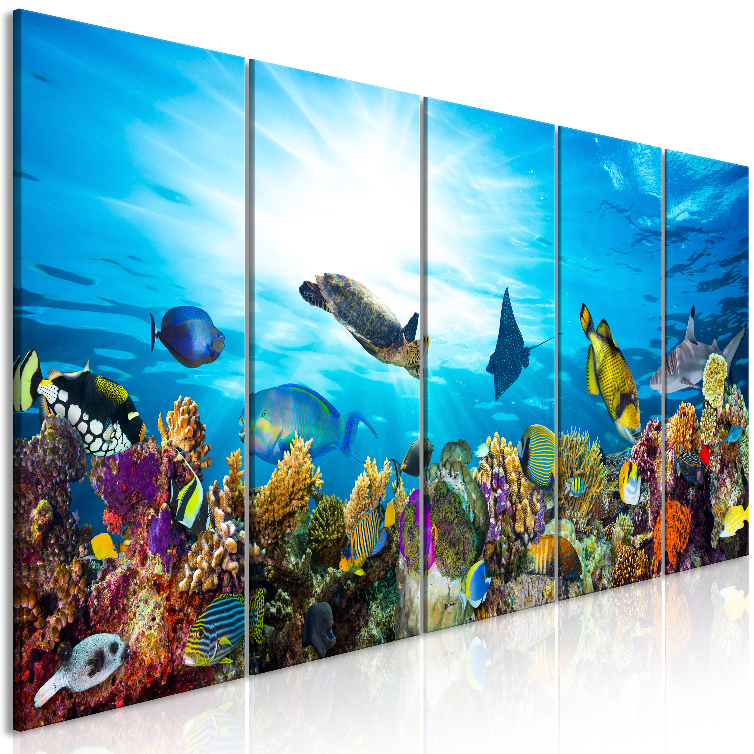 Leinwand-Bilder Wandbild Leinwandbild 140x70 Korallenriff Natur 