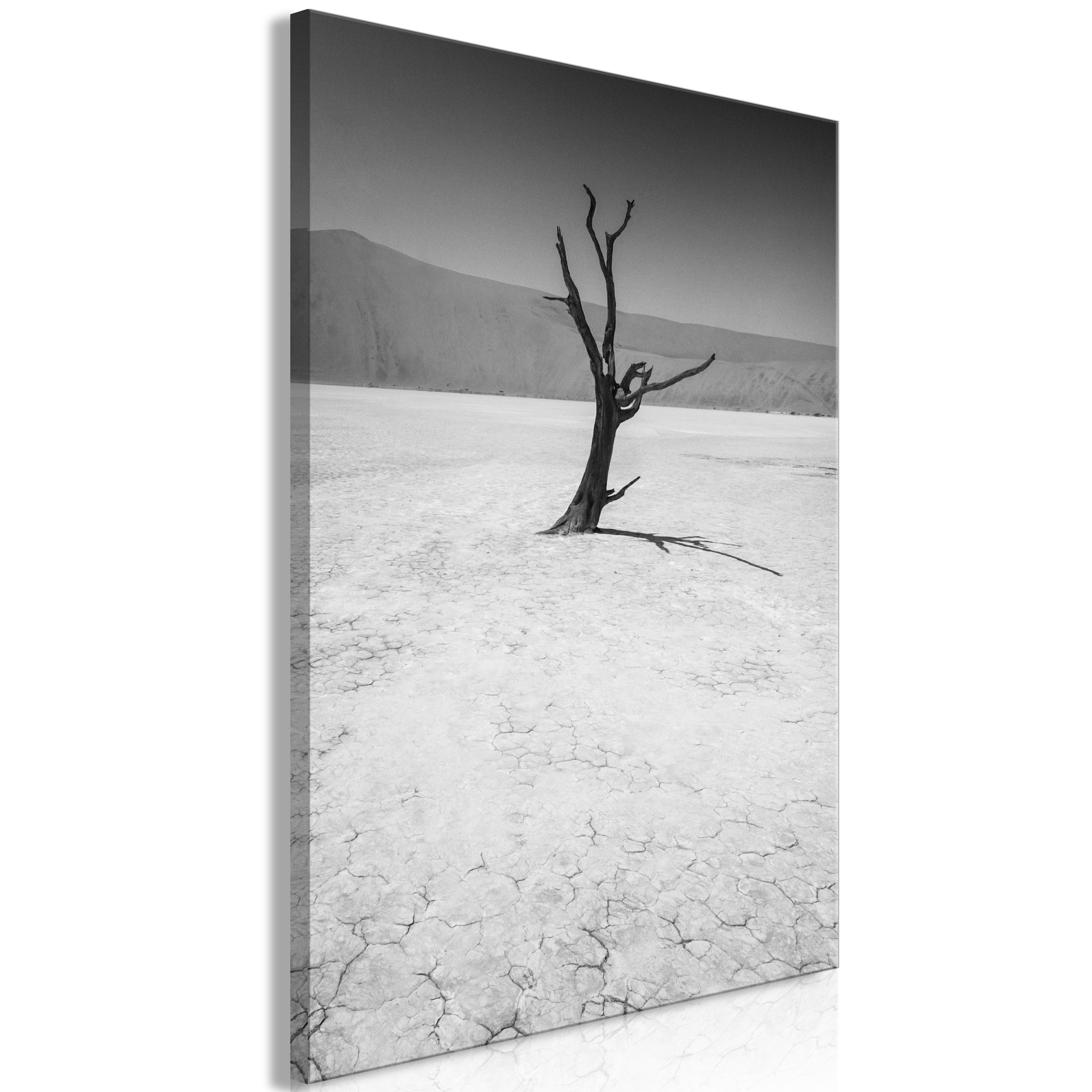 47++ Schwarz weiss bilder leinwand xxl , LEINWAND BILDER Sand Strand Bild Kunstdruck schwarz weiß Natur