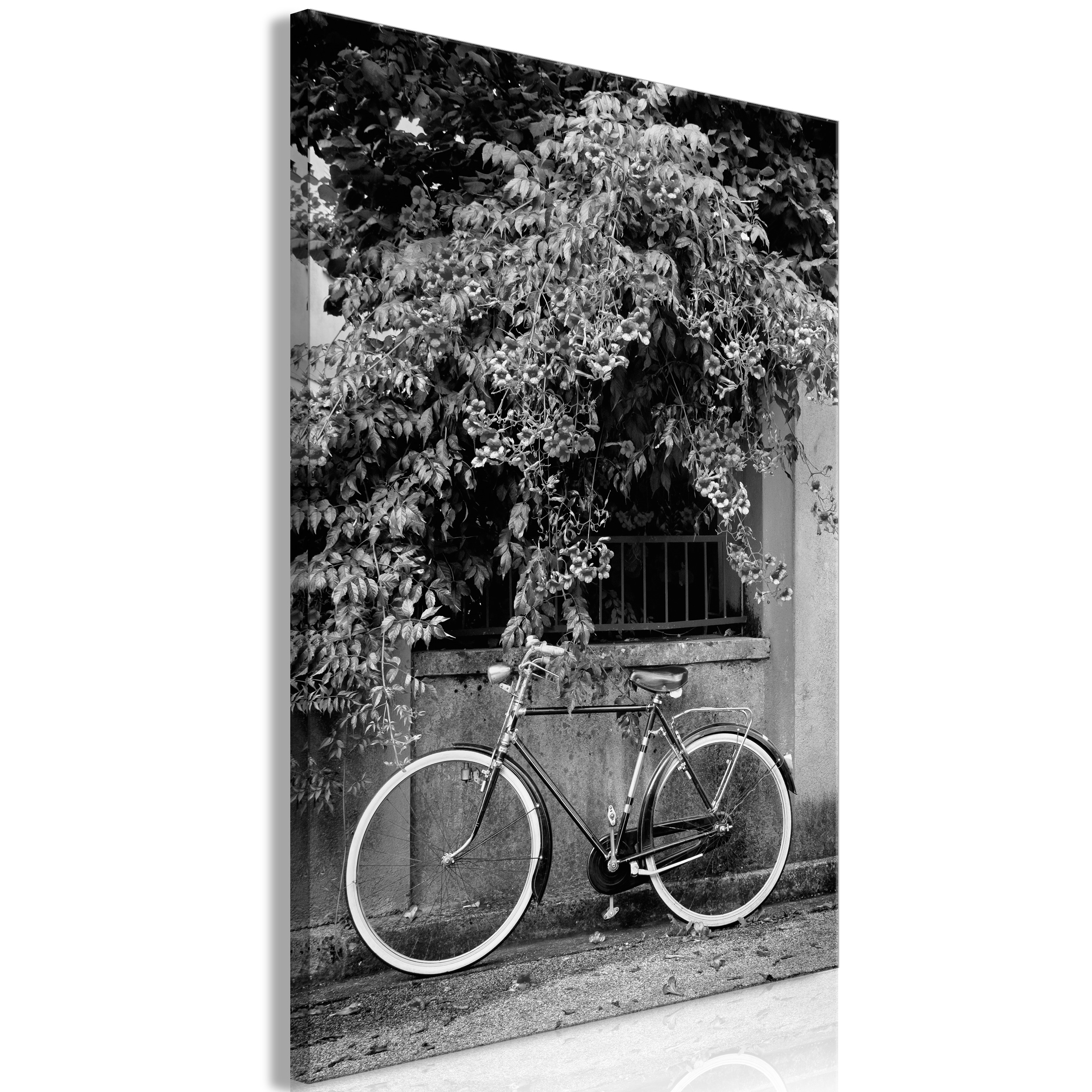 Leinwand Bilder Abstrakt Fahrrad grau Wandbilder XXL