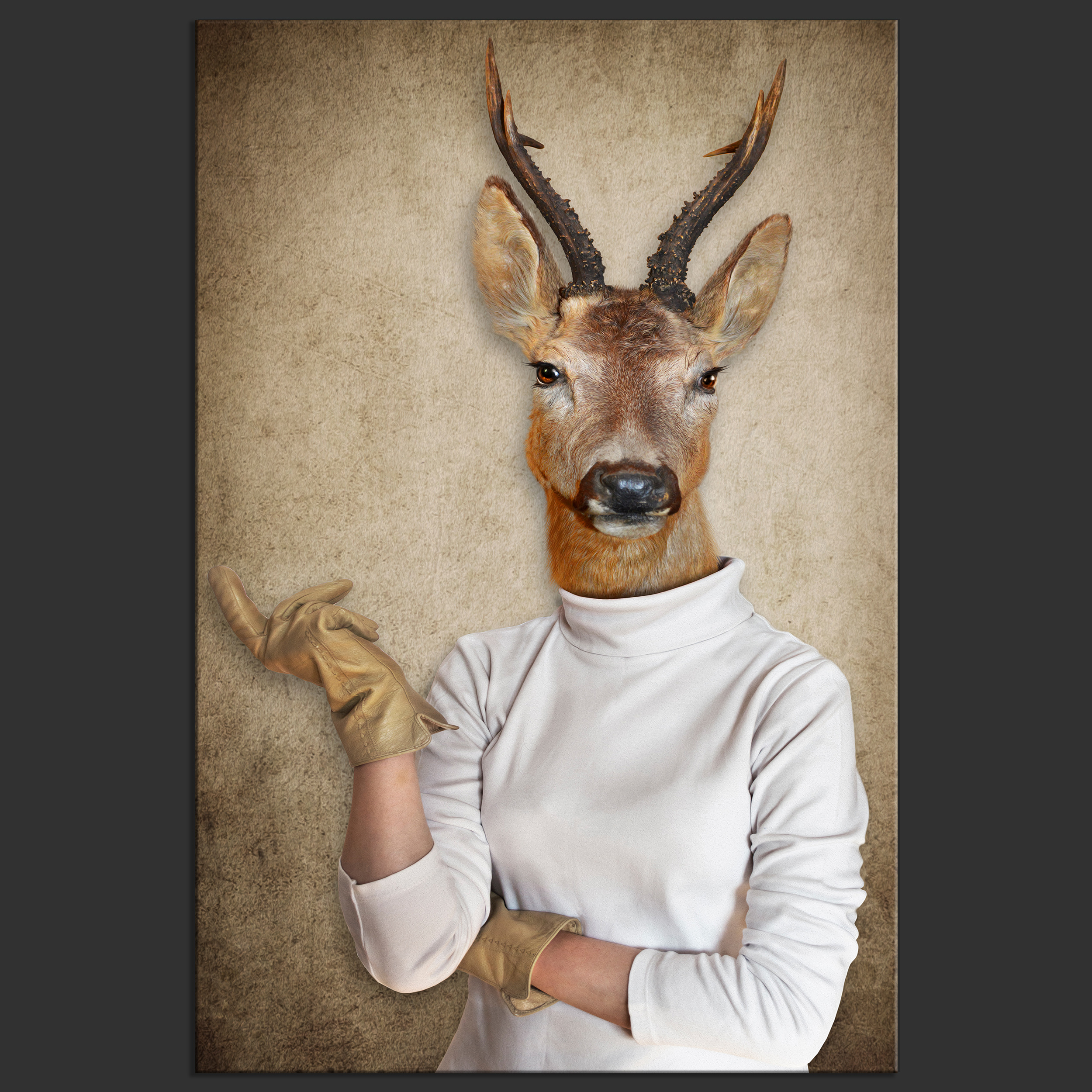 LEINWAND BILDER Tiere Katze retro vintage Menschen Zebras ...