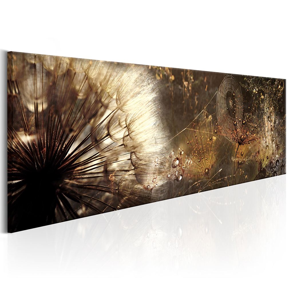 SODERANFERTIGUNG-Leinwand-Bilder 50x50 Wandbild Canvas Pusteblume Pflanzen 