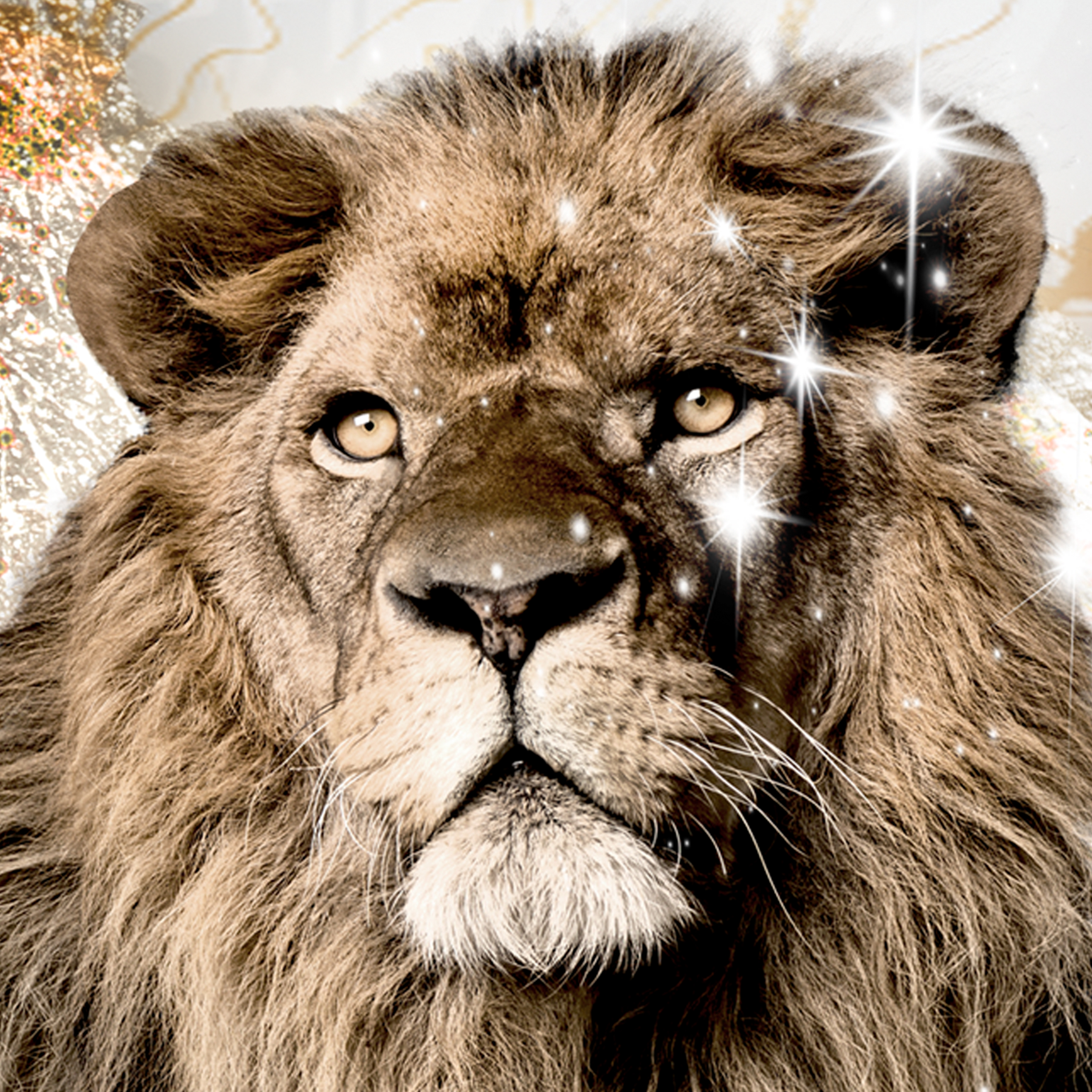 LEINWAND BILDER Löwe Tiere Afrika Natur WANDBILDER xxl Kunstdruck Wanddeko 26 