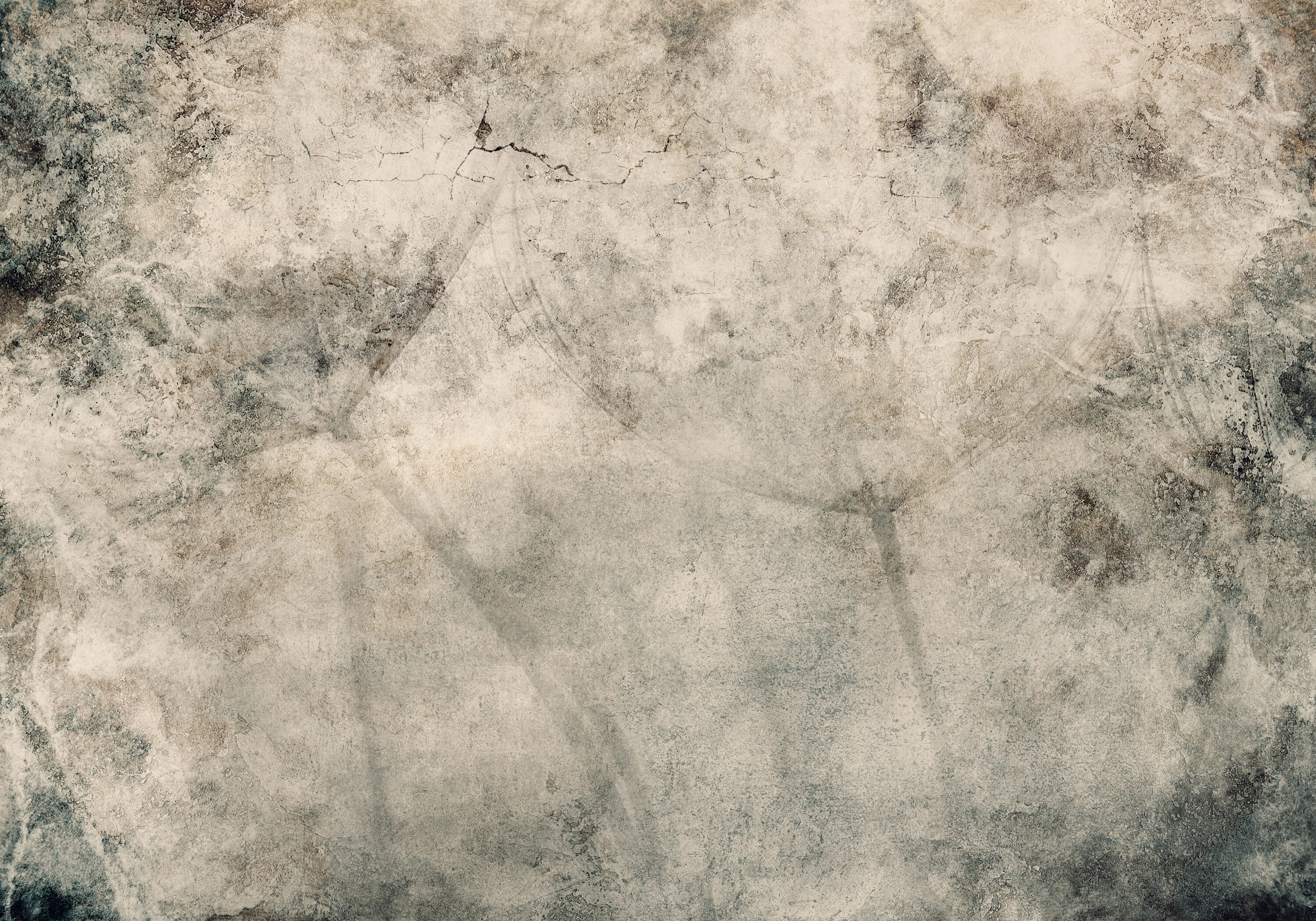 Blumen Pusteblume Beton VLIES FOTOTAPETE 3D WOHNZIMMER TAPETE WANDBILD XXL - Bild 17 von 21