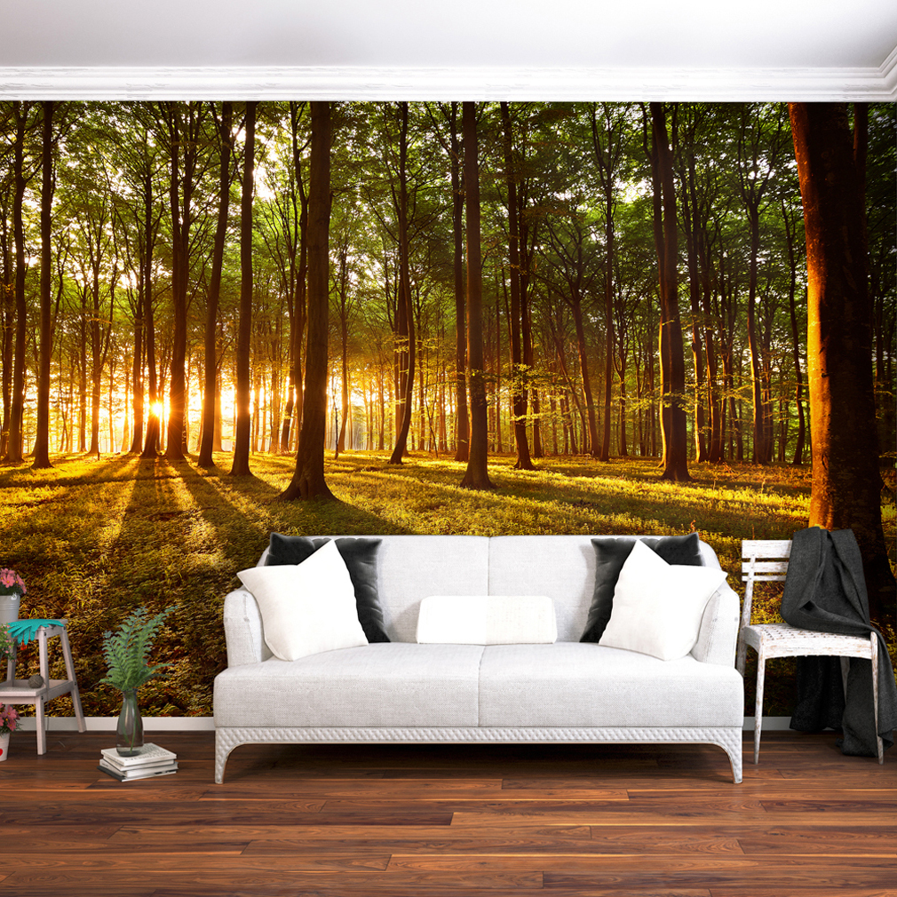 Fototapete Vlies und Papier Tapete Natur Landschaft Wald das Land des Relax