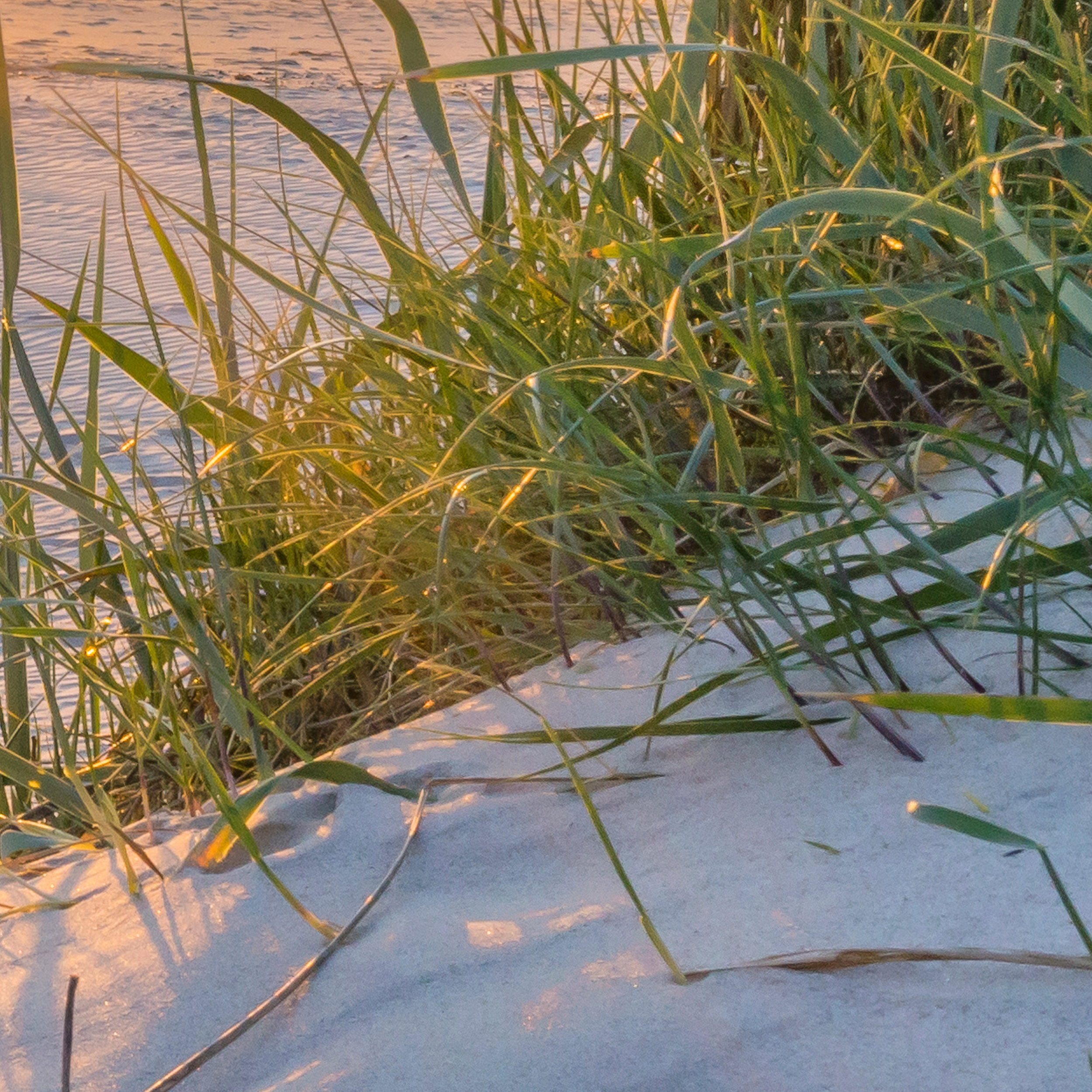 Meer Natur Horizonte Strand VLIES FOTOTAPETE 3D WOHNZIMMER TAPETE WANDBILD XXL - Bild 5 von 5
