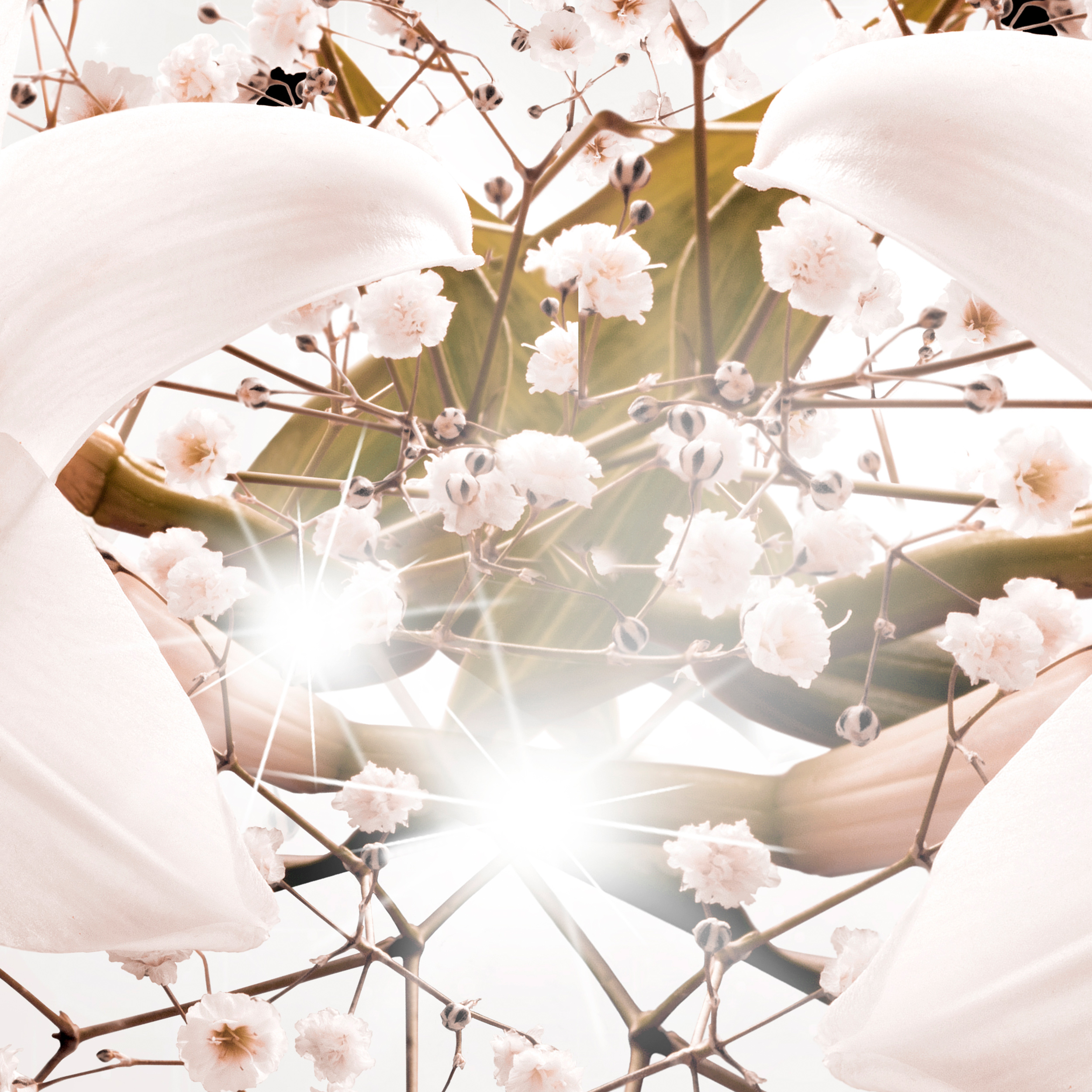 Blumen Lilien 3D Effekt VLIES FOTOTAPETE 3D WOHNZIMMER TAPETE WANDBILD XXL - Bild 12 von 12