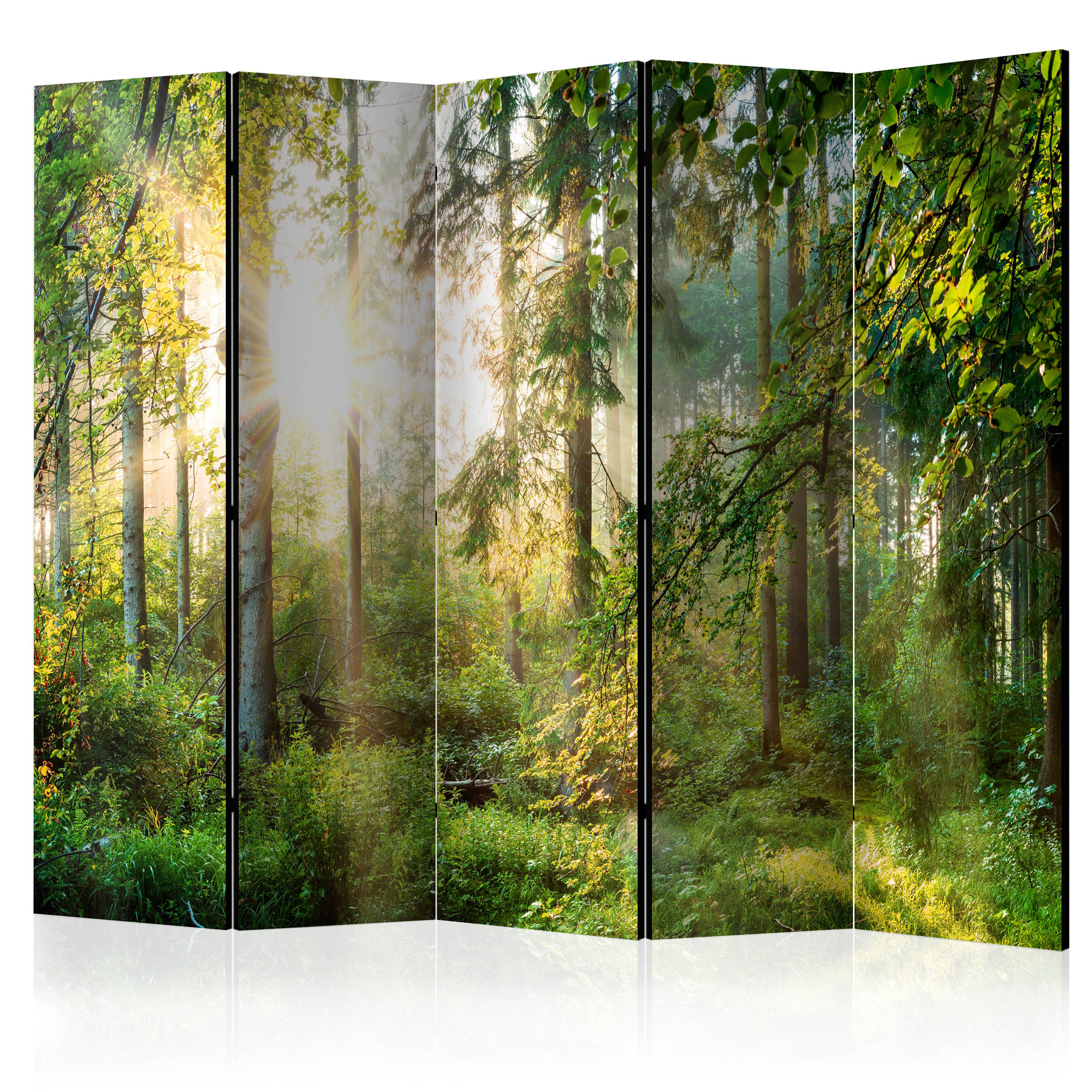 Paravent séparateur de pièce espagnole Mur Cloison forêt nature 2 formats 